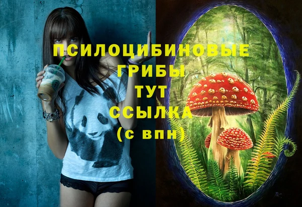 первитин Алексин