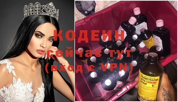 эйфоретик Алзамай