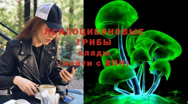 эйфоретик Алзамай