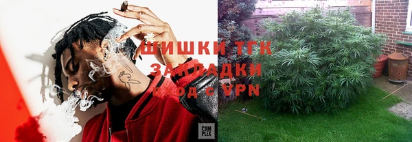 эйфоретик Алзамай