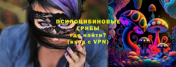 дурь Алексеевка